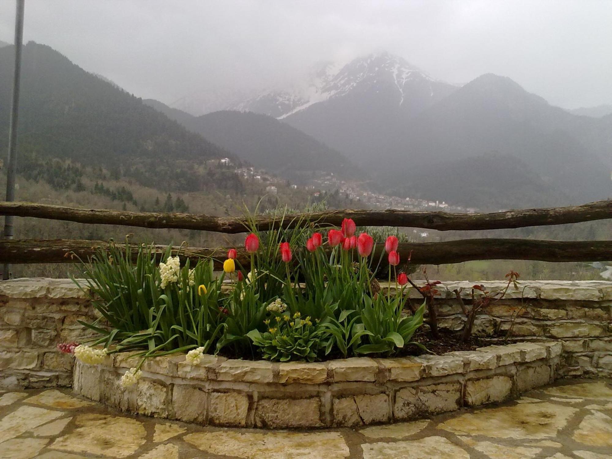 Rizoma Guesthouse Mikro Chorio  Экстерьер фото